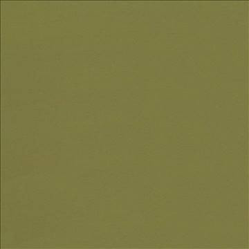 Seductive Cedar by Kasmir Fabric 5052 100% Polyester INDIA 6,000 Wyzenbeek Double Rubs H: N/A, V: N/A 53 - Fabric Carolina - Kasmir
