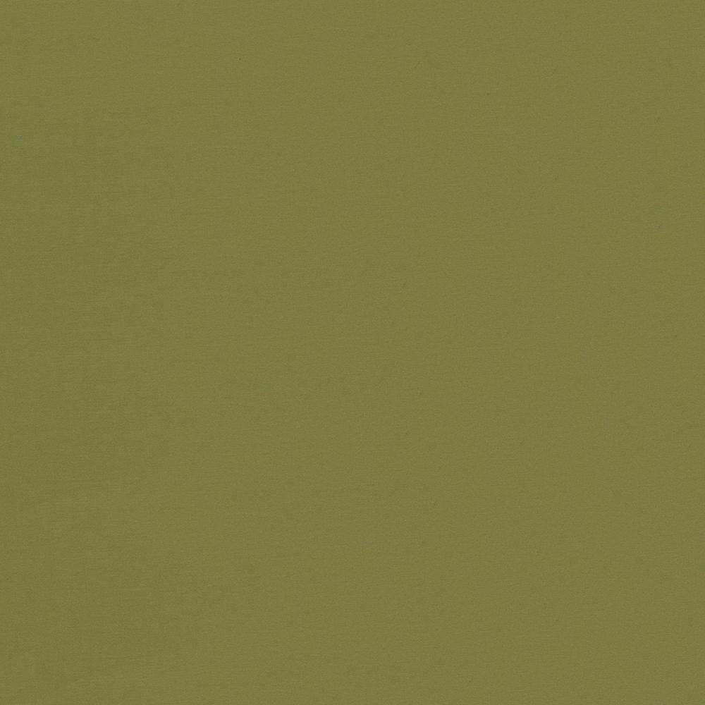 Seductive Cedar by Kasmir Fabric 5052 100% Polyester
 INDIA </p><p>Repeat: Horizontal: N/A and Vertical: N/A 53 - Fabric Carolina -