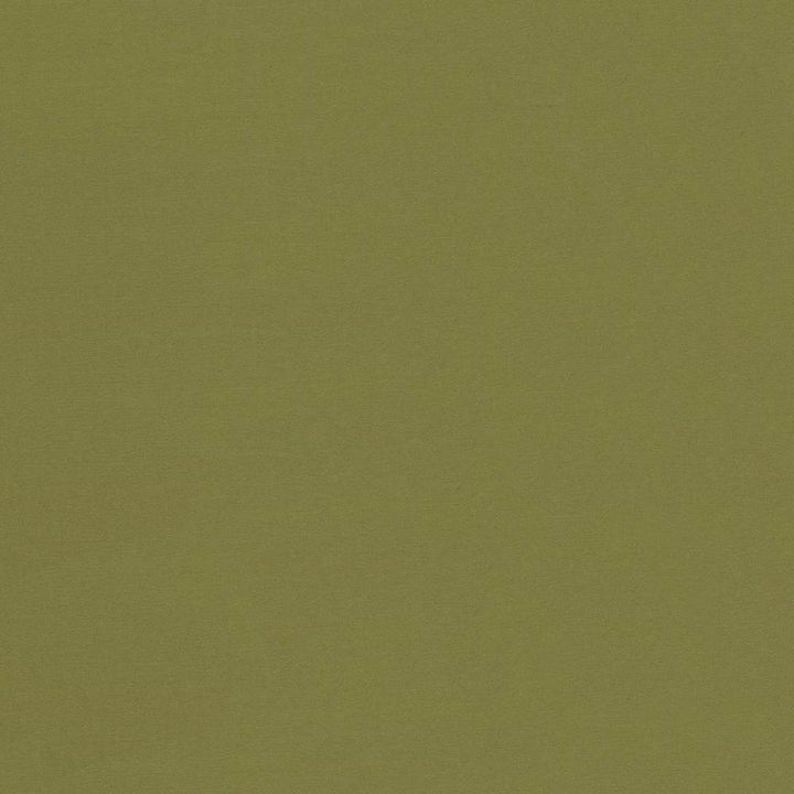 Seductive Cedar by Kasmir Fabric 5052 100% Polyester
 INDIA </p><p>Repeat: Horizontal: N/A and Vertical: N/A 53 - Fabric Carolina -
