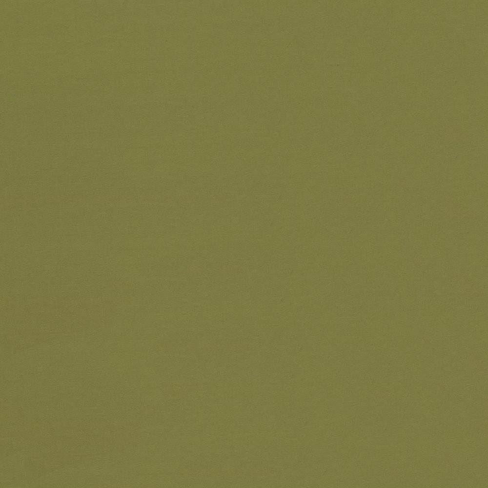 Seductive Cedar by Kasmir Fabric 5052 100% Polyester
 INDIA 6,000 Wyzenbeek Double Rubs </p><p>Repeat: Horizontal: N/A and Vertical: N/A 53 - Fabric Carolina -