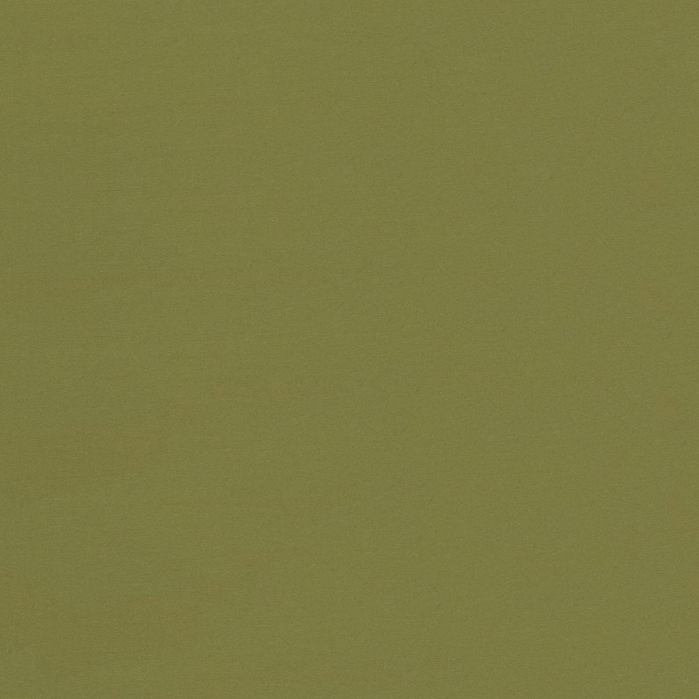 Seductive Cedar by Kasmir Fabric 5052 100% Polyester
 INDIA </p><p>Repeat: Horizontal: N/A and Vertical: N/A 53 - Fabric Carolina -
