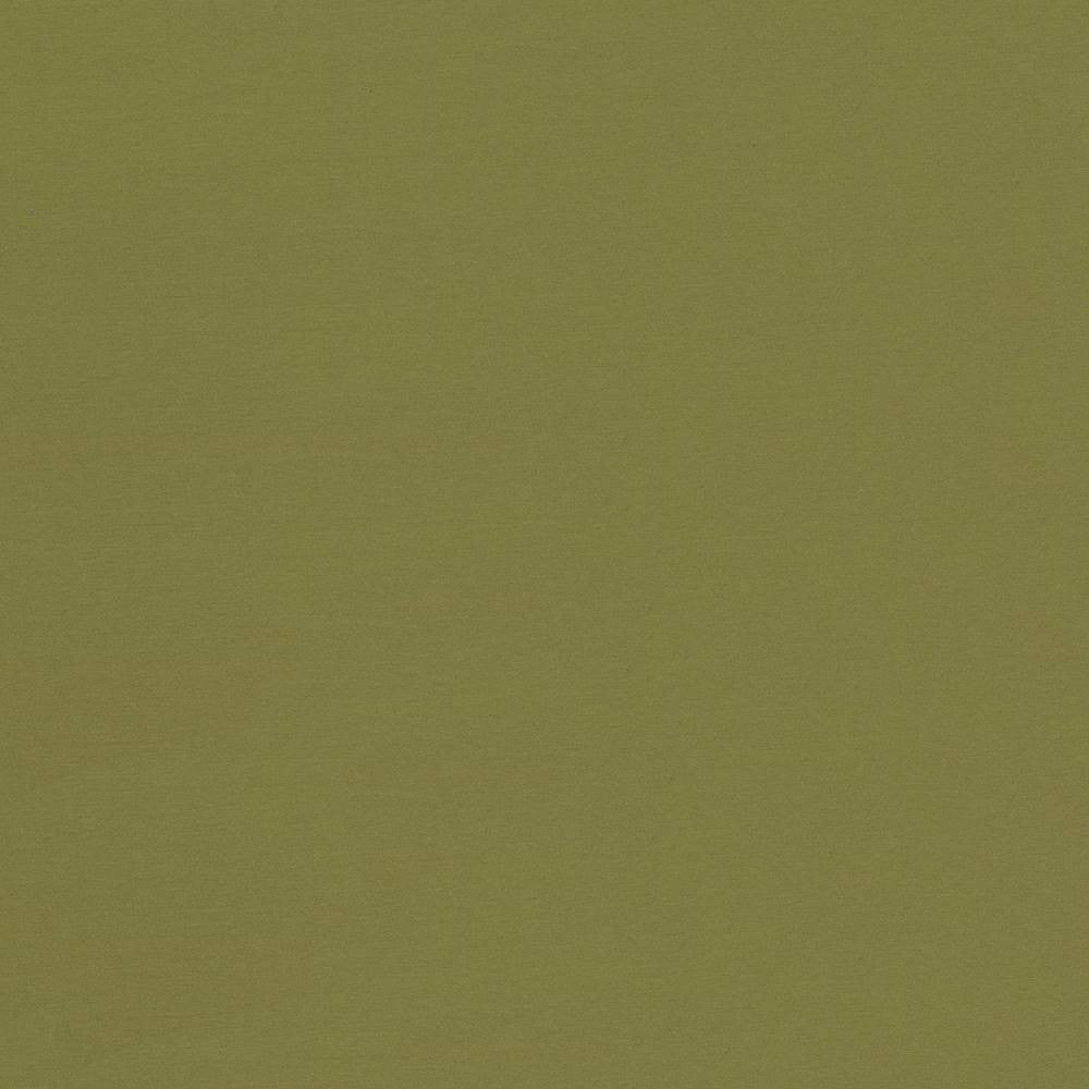 Seductive Cedar by Kasmir Fabric 5052 INDIA 6,000 Wyzenbeek Double Rubs H: N/A, V:N/A 53 - Fabric Carolina - Kasmir