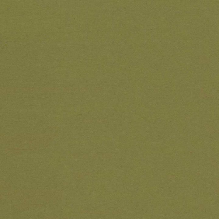 Seductive Cedar by Kasmir Fabric 5052 INDIA 6,000 Wyzenbeek Double Rubs H: N/A, V:N/A 53 - Fabric Carolina - Kasmir