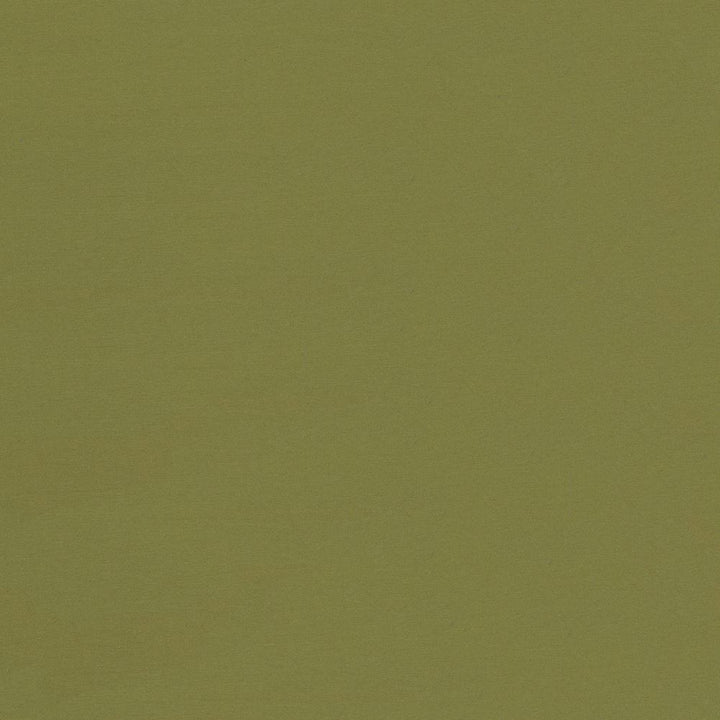 Seductive Cedar by Kasmir Fabric 5052 100% Polyester
 INDIA </p><p>Repeat: Horizontal: N/A and Vertical: N/A 53 - Fabric Carolina -