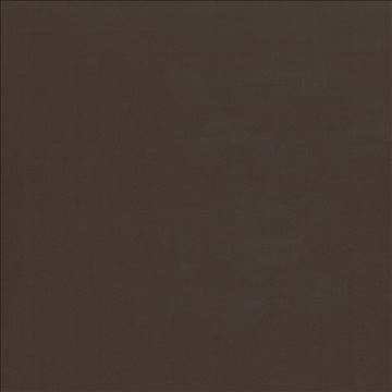 Seductive Chocolate by Kasmir Fabric 5052 100% Polyester INDIA 6,000 Wyzenbeek Double Rubs H: N/A, V: N/A 53 - Fabric Carolina - Kasmir