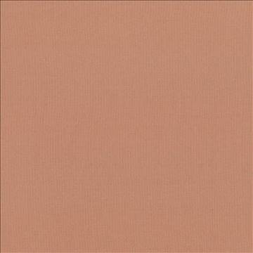 Seductive Clay by Kasmir Fabric 5052 100% Polyester INDIA 6,000 Wyzenbeek Double Rubs H: N/A, V: N/A 53 - Fabric Carolina - Kasmir
