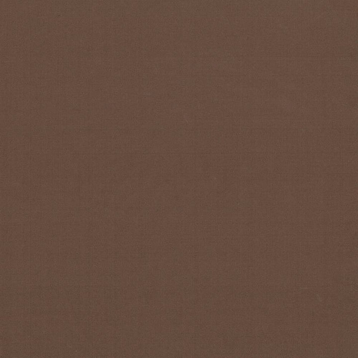 Seductive Cocoa by Kasmir Fabric 5052 INDIA 6,000 Wyzenbeek Double Rubs H: N/A, V:N/A 53 - Fabric Carolina - Kasmir
