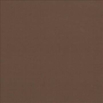 Seductive Cocoa by Kasmir Fabric 5052 100% Polyester INDIA 6,000 Wyzenbeek Double Rubs H: N/A, V: N/A 53 - Fabric Carolina - Kasmir