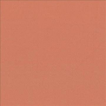 Seductive Coral by Kasmir Fabric 5052 100% Polyester INDIA 6,000 Wyzenbeek Double Rubs H: N/A, V: N/A 53 - Fabric Carolina - Kasmir