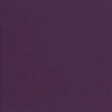 Seductive Eggplant by Kasmir Fabric 5052 100% Polyester INDIA 6,000 Wyzenbeek Double Rubs H: N/A, V: N/A 53 - Fabric Carolina - Kasmir