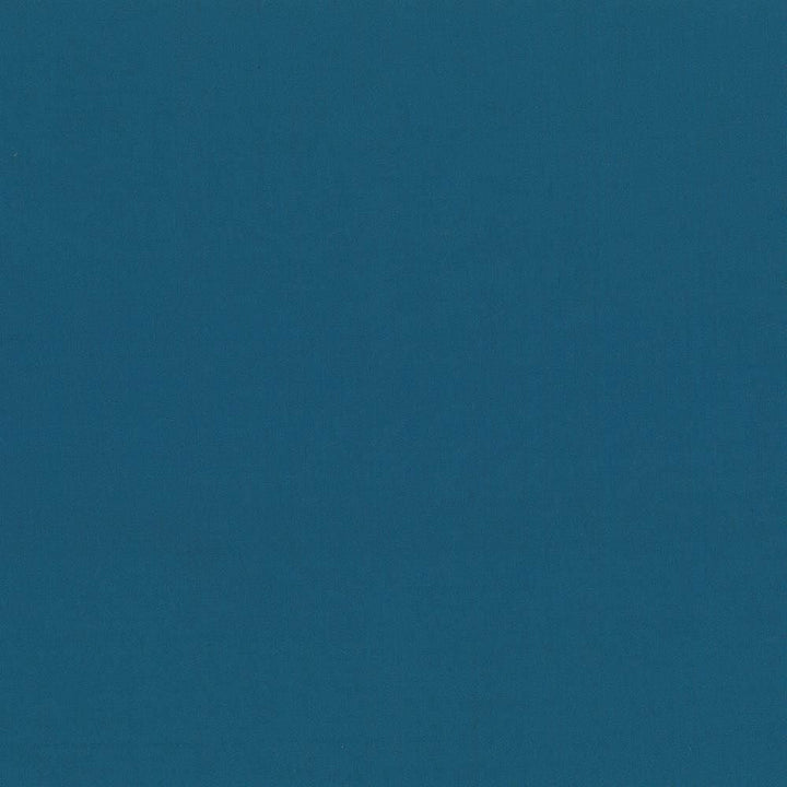 Seductive Grotto by Kasmir Fabric 5052 100% Polyester INDIA 6,000 Wyzenbeek Double Rubs Horizontal: 0 Inches and Vertical: 0 Inches 53 - Fabric Carolina -