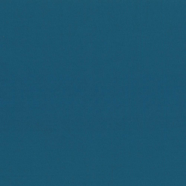 Seductive Grotto by Kasmir Fabric 5052 100% Polyester
 INDIA </p><p>Repeat: Horizontal: N/A and Vertical: N/A 53 - Fabric Carolina -