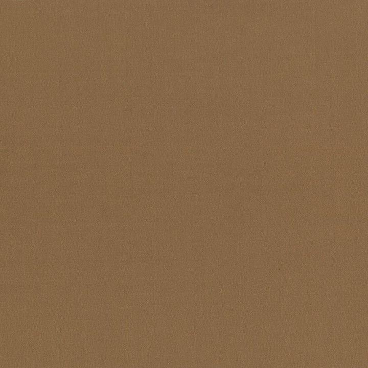 Seductive Hazelnut by Kasmir Fabric 5052 INDIA 6,000 Wyzenbeek Double Rubs H: N/A, V:N/A 53 - Fabric Carolina - Kasmir