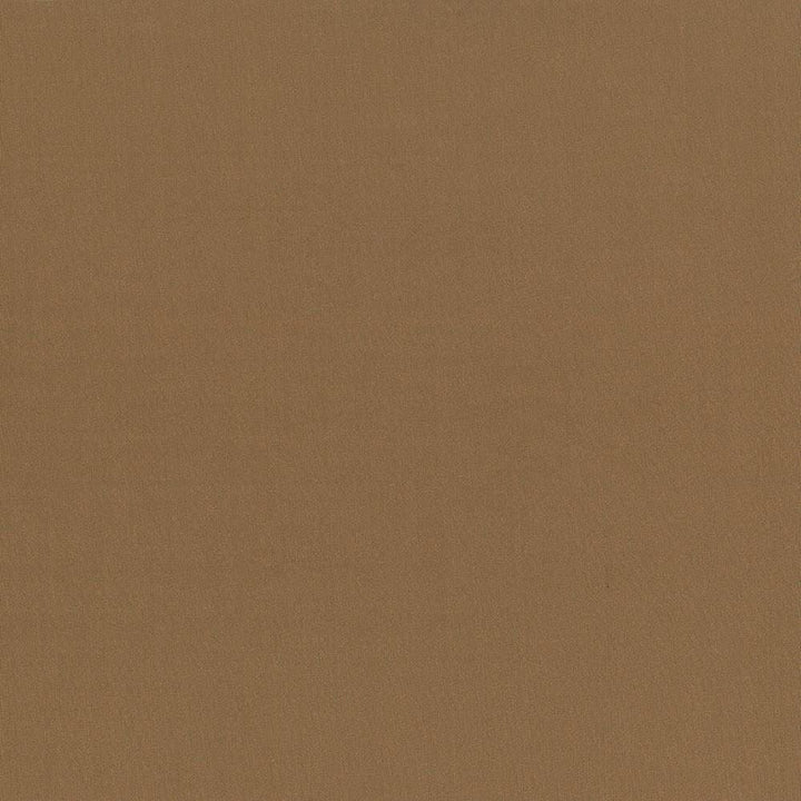 Seductive Hazelnut by Kasmir Fabric 5052 100% Polyester
 INDIA 6,000 Wyzenbeek Double Rubs </p><p>Repeat: Horizontal: N/A and Vertical: N/A 53 - Fabric Carolina -