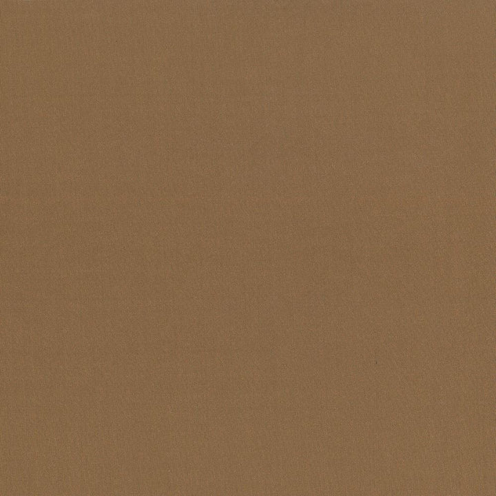 Seductive Hazelnut by Kasmir Fabric 5052 100% Polyester
 INDIA </p><p>Repeat: Horizontal: N/A and Vertical: N/A 53 - Fabric Carolina -