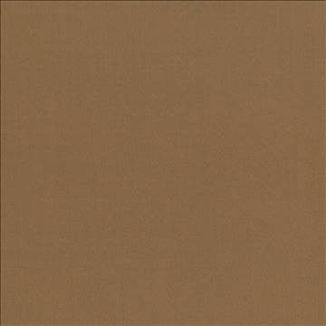 Seductive Hazelnut by Kasmir Fabric 5052 100% Polyester INDIA 6,000 Wyzenbeek Double Rubs H: N/A, V: N/A 53 - Fabric Carolina - Kasmir
