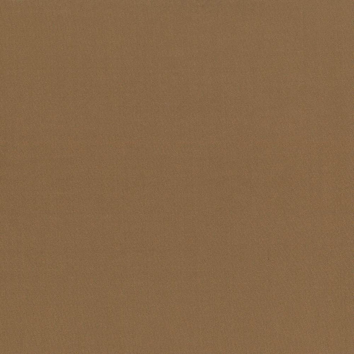 Seductive Hazelnut by Kasmir Fabric 5052 100% Polyester
 INDIA </p><p>Repeat: Horizontal: N/A and Vertical: N/A 53 - Fabric Carolina -