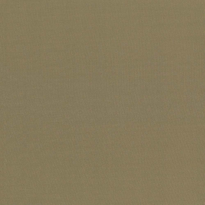 Seductive Herb by Kasmir Fabric 5052 100% Polyester
 INDIA </p><p>Repeat: Horizontal: N/A and Vertical: N/A 53 - Fabric Carolina -