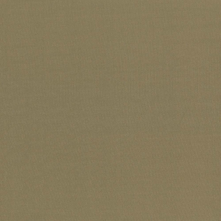 Seductive Herb  by Kasmir Fabric See sample 100% Polyester
 INDIA 6,000 Wyzenbeek Double Rubs </p><p>Repeat: Horizontal: N/A and Vertical: N/A 53  - Fabric Carolina -