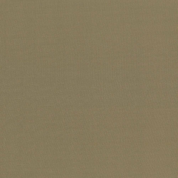 Seductive Herb by Kasmir Fabric 5052 INDIA 6,000 Wyzenbeek Double Rubs H: N/A, V:N/A 53 - Fabric Carolina - Kasmir