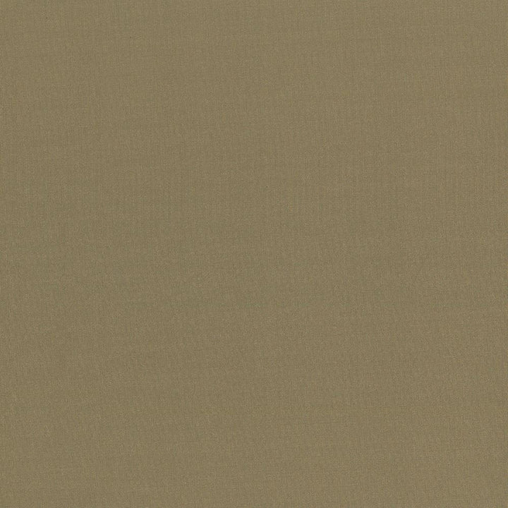 Seductive Herb by Kasmir Fabric 5052 100% Polyester
 INDIA </p><p>Repeat: Horizontal: N/A and Vertical: N/A 53 - Fabric Carolina -