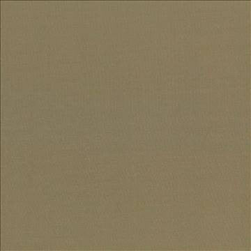 Seductive Herb by Kasmir Fabric 5052 100% Polyester INDIA 6,000 Wyzenbeek Double Rubs H: N/A, V: N/A 53 - Fabric Carolina - Kasmir