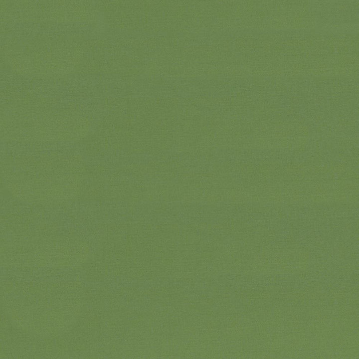 Seductive Jade by Kasmir Fabric 5052 100% Polyester
 INDIA </p><p>Repeat: Horizontal: N/A and Vertical: N/A 53 - Fabric Carolina -