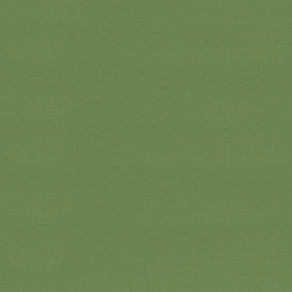 Seductive Jade by Kasmir Fabric 5052 100% Polyester
 INDIA </p><p>Repeat: Horizontal: N/A and Vertical: N/A 53 - Fabric Carolina -
