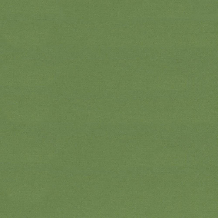 Seductive Jade by Kasmir Fabric 5052 100% Polyester
 INDIA </p><p>Repeat: Horizontal: N/A and Vertical: N/A 53 - Fabric Carolina -