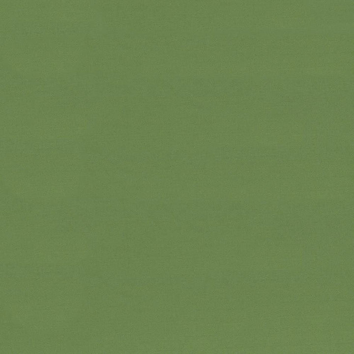 Seductive Jade by Kasmir Fabric 5052 100% Polyester
 INDIA 6,000 Wyzenbeek Double Rubs </p><p>Repeat: Horizontal: N/A and Vertical: N/A 53 - Fabric Carolina -