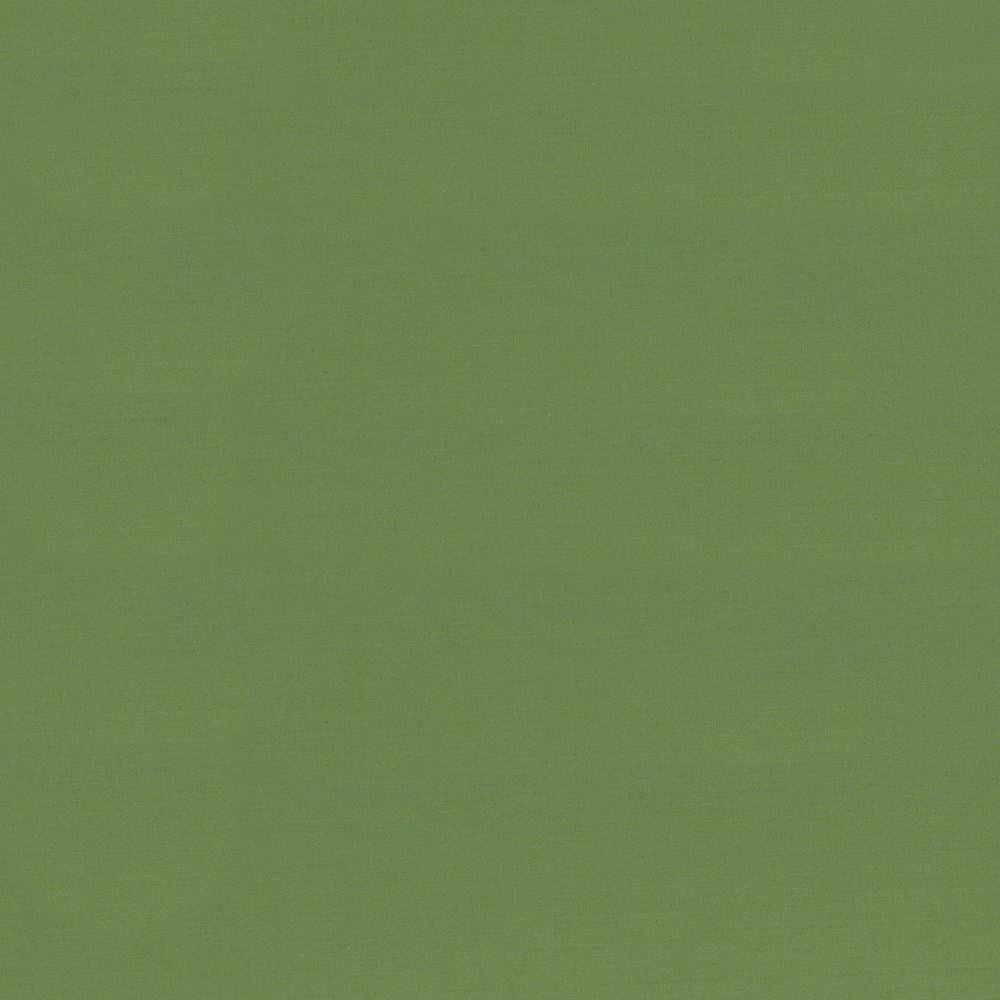 Seductive Jade by Kasmir Fabric 5052 100% Polyester
 INDIA </p><p>Repeat: Horizontal: N/A and Vertical: N/A 53 - Fabric Carolina -