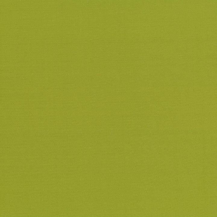 Seductive Kiwi by Kasmir Fabric 5052 100% Polyester
 INDIA 6,000 Wyzenbeek Double Rubs Horizontal: N/A and Vertical: N/A 53 - Fabric Carolina -