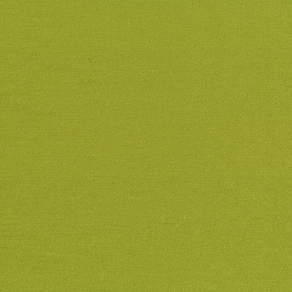 Seductive Kiwi by Kasmir Fabric 5052 100% Polyester
 INDIA </p><p>Repeat: Horizontal: N/A and Vertical: N/A 53 - Fabric Carolina -