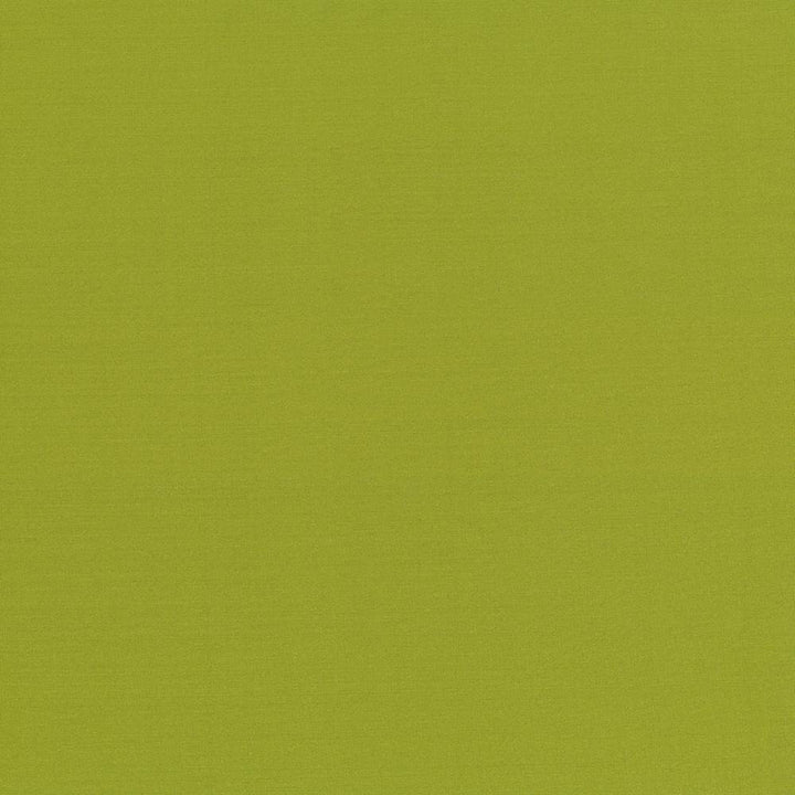 Seductive Kiwi by Kasmir Fabric 5052 100% Polyester
 INDIA </p><p>Repeat: Horizontal: N/A and Vertical: N/A 53 - Fabric Carolina -