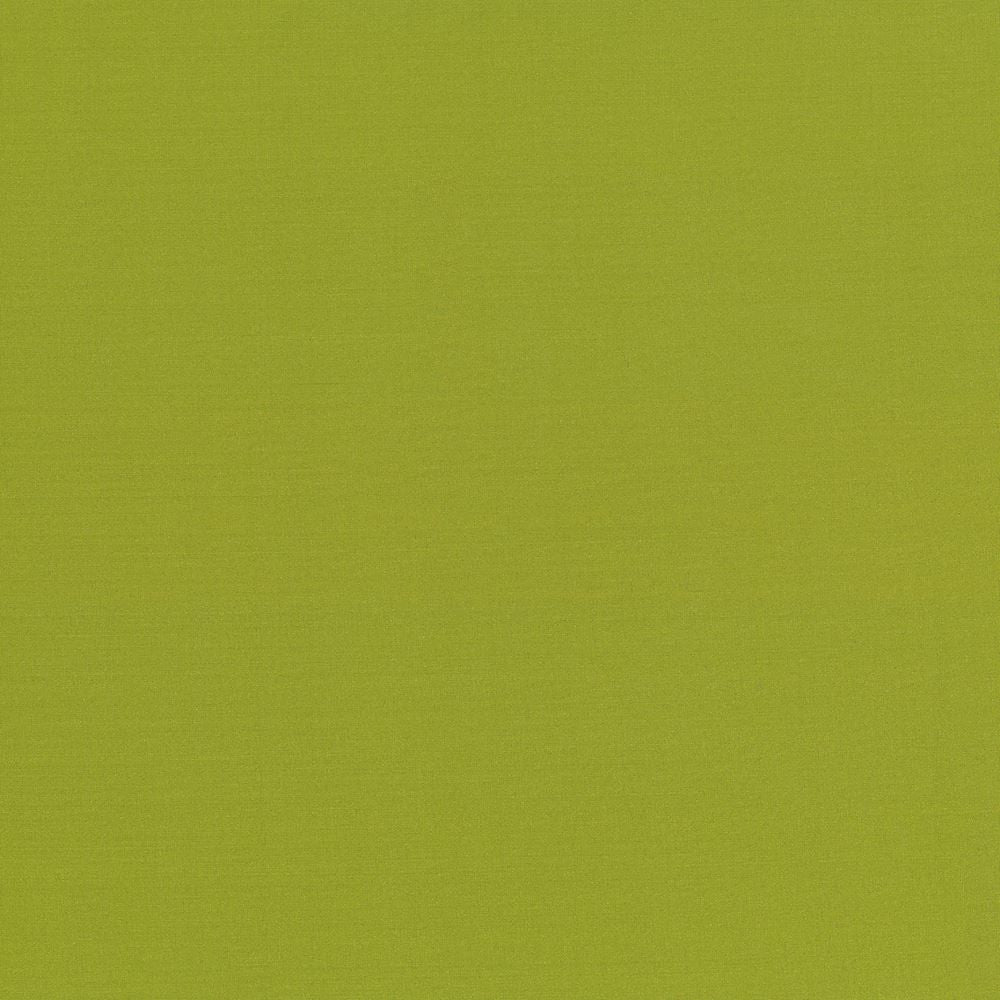 Seductive Kiwi by Kasmir Fabric 5052 100% Polyester
 INDIA </p><p>Repeat: Horizontal: N/A and Vertical: N/A 53 - Fabric Carolina -