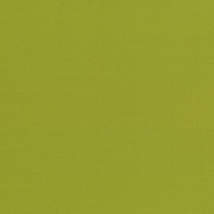 Seductive Kiwi by Kasmir Fabric 5052 100% Polyester
 INDIA </p><p>Repeat: Horizontal: N/A and Vertical: N/A 53 - Fabric Carolina -