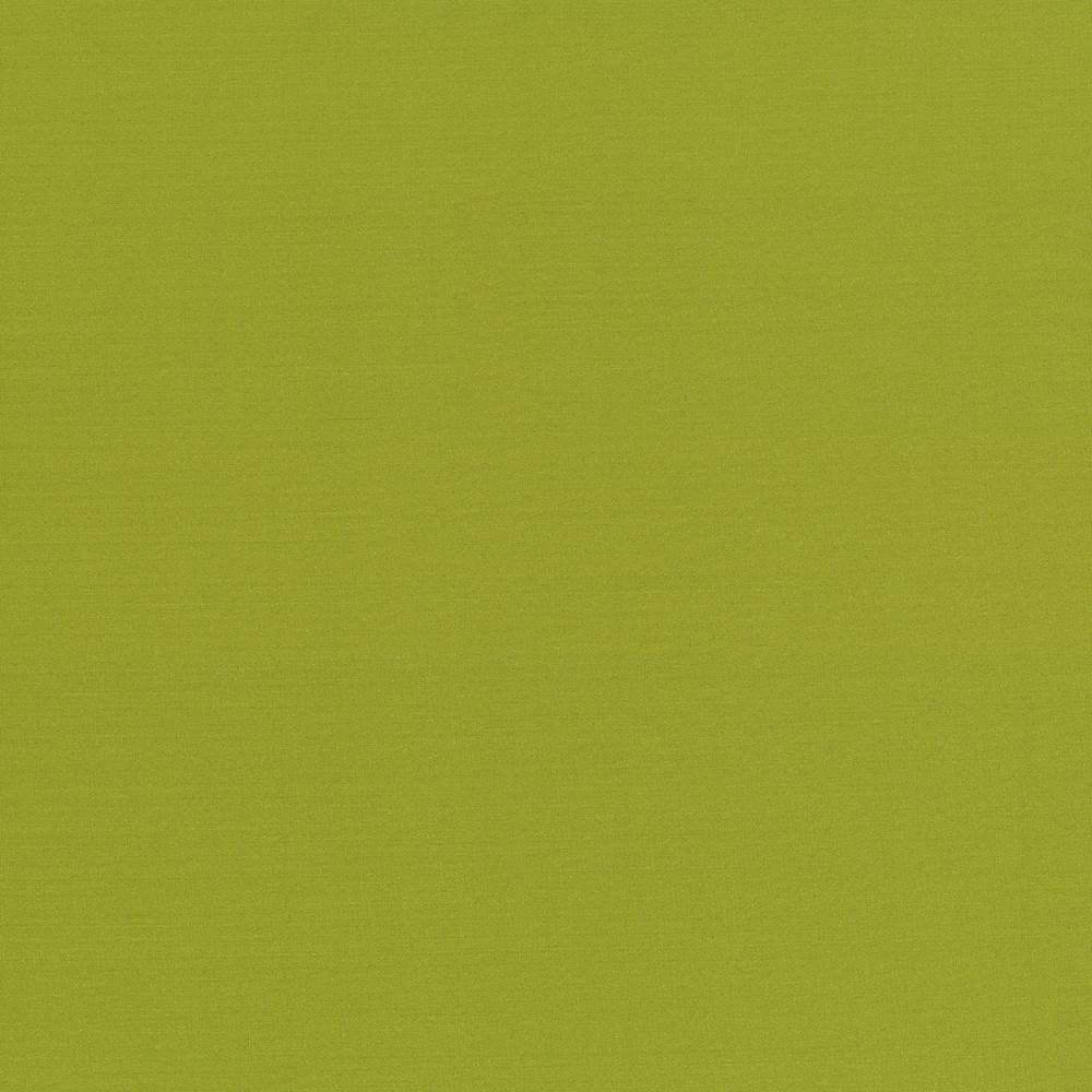 Seductive Kiwi by Kasmir Fabric 5052 INDIA 6,000 Wyzenbeek Double Rubs H: N/A, V:N/A 53 - Fabric Carolina - Kasmir