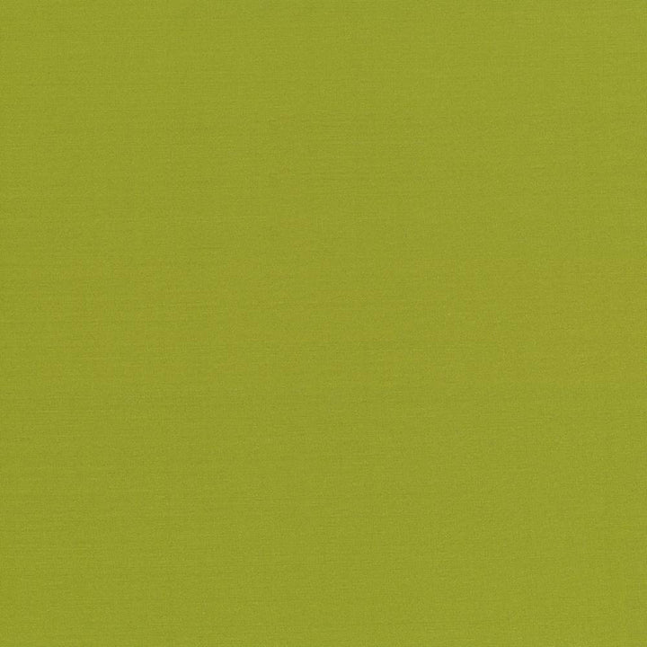 Seductive Kiwi by Kasmir Fabric 5052 INDIA 6,000 Wyzenbeek Double Rubs H: N/A, V:N/A 53 - Fabric Carolina - Kasmir