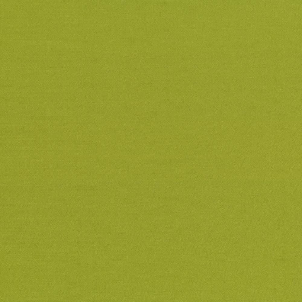 Seductive Kiwi by Kasmir Fabric 5052 100% Polyester
 INDIA 6,000 Wyzenbeek Double Rubs </p><p>Repeat: Horizontal: N/A and Vertical: N/A 53 - Fabric Carolina -