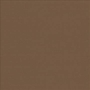 Seductive Latte by Kasmir Fabric 5052 100% Polyester INDIA 6,000 Wyzenbeek Double Rubs H: N/A, V: N/A 53 - Fabric Carolina - Kasmir