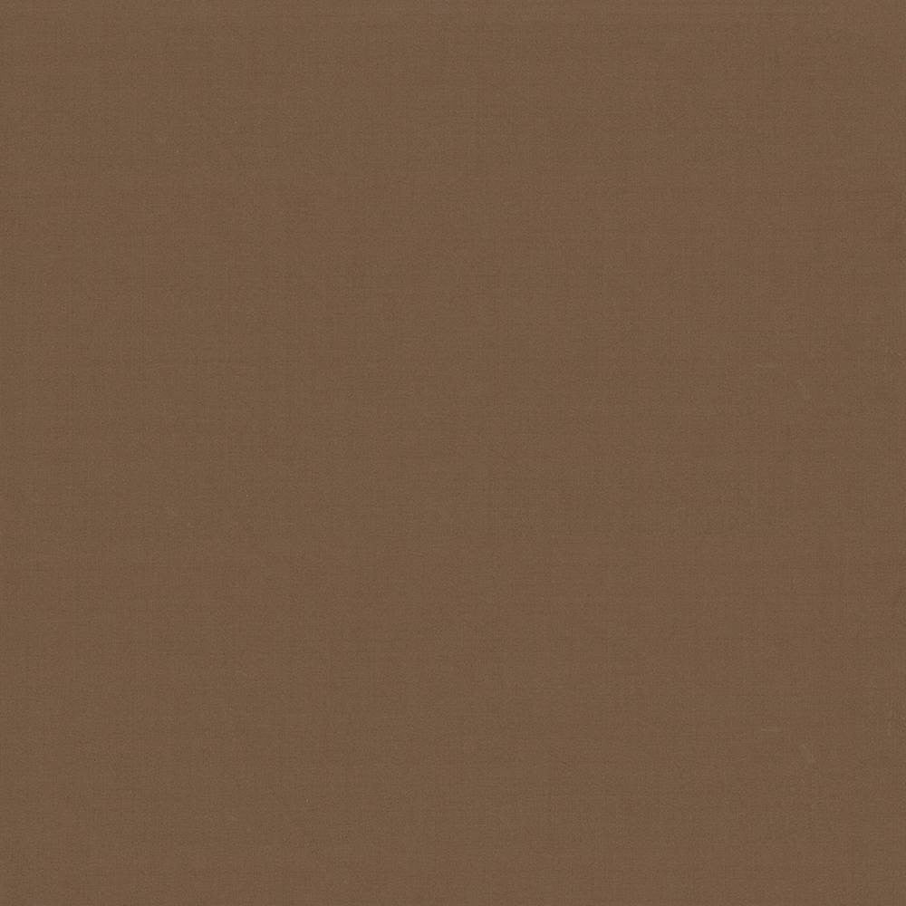 Seductive Latte by Kasmir Fabric 5052 100% Polyester
 INDIA </p><p>Repeat: Horizontal: N/A and Vertical: N/A 53 - Fabric Carolina -