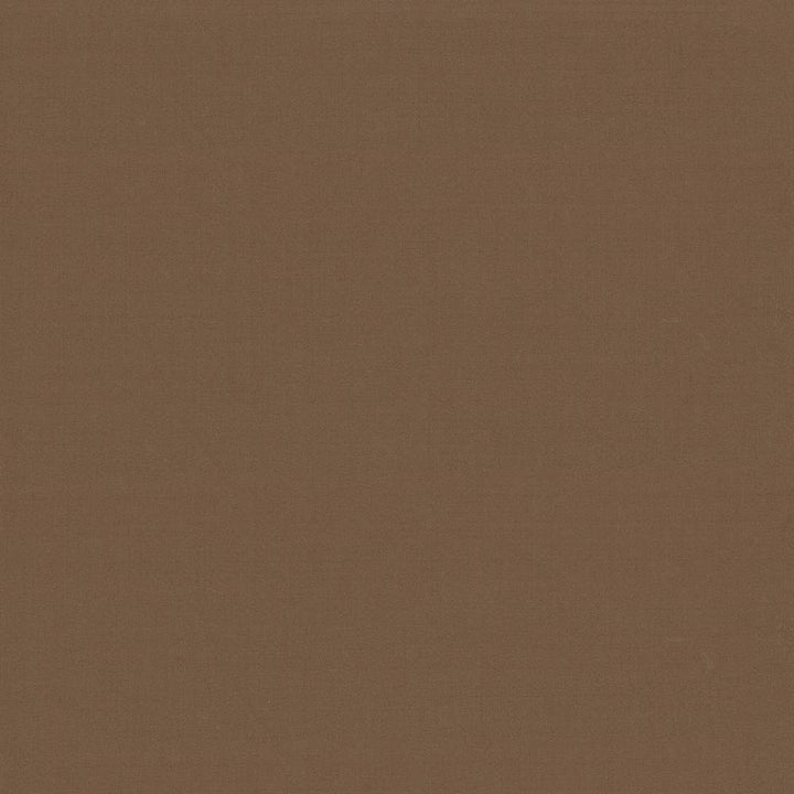 Seductive Latte by Kasmir Fabric 5052 100% Polyester
 INDIA </p><p>Repeat: Horizontal: N/A and Vertical: N/A 53 - Fabric Carolina -
