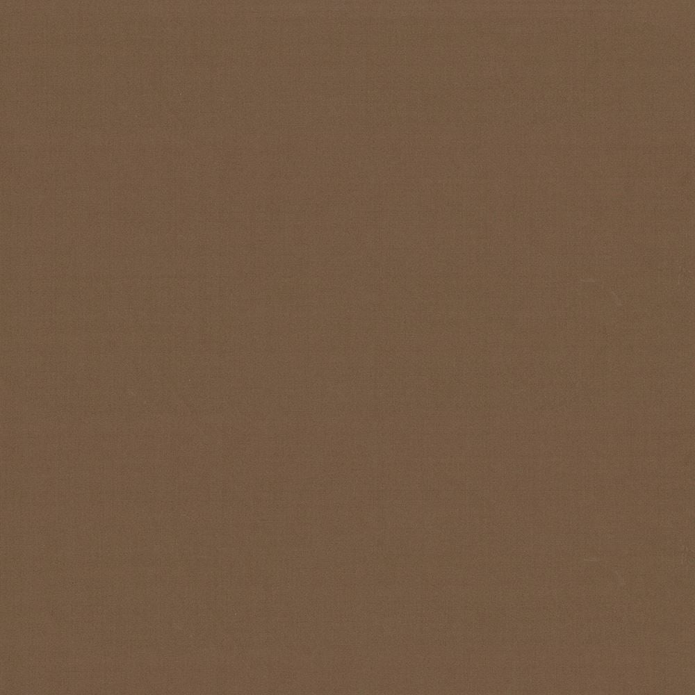 Seductive Latte by Kasmir Fabric 5052 100% Polyester
 INDIA </p><p>Repeat: Horizontal: N/A and Vertical: N/A 53 - Fabric Carolina -