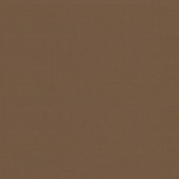 Seductive Latte by Kasmir Fabric 5052 100% Polyester
 INDIA </p><p>Repeat: Horizontal: N/A and Vertical: N/A 53 - Fabric Carolina -