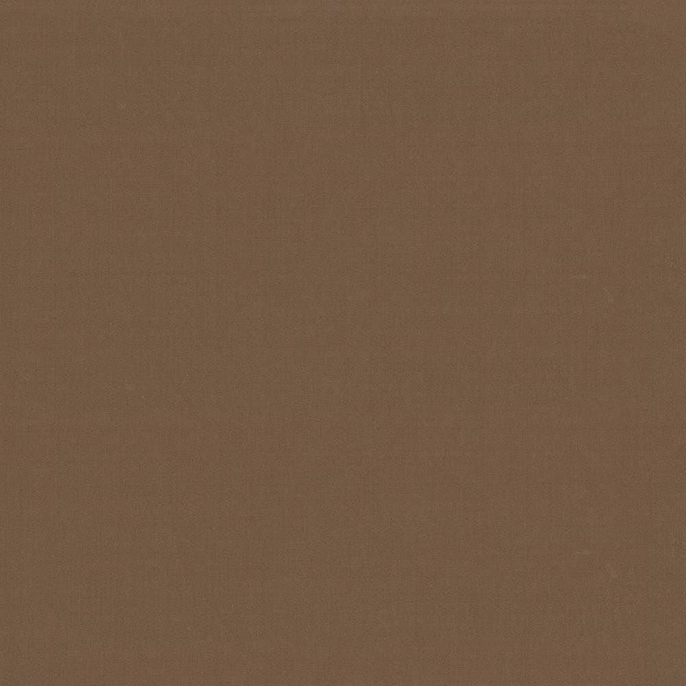 Seductive Latte by Kasmir Fabric 5052 100% Polyester
 INDIA 6,000 Wyzenbeek Double Rubs </p><p>Repeat: Horizontal: N/A and Vertical: N/A 53 - Fabric Carolina -