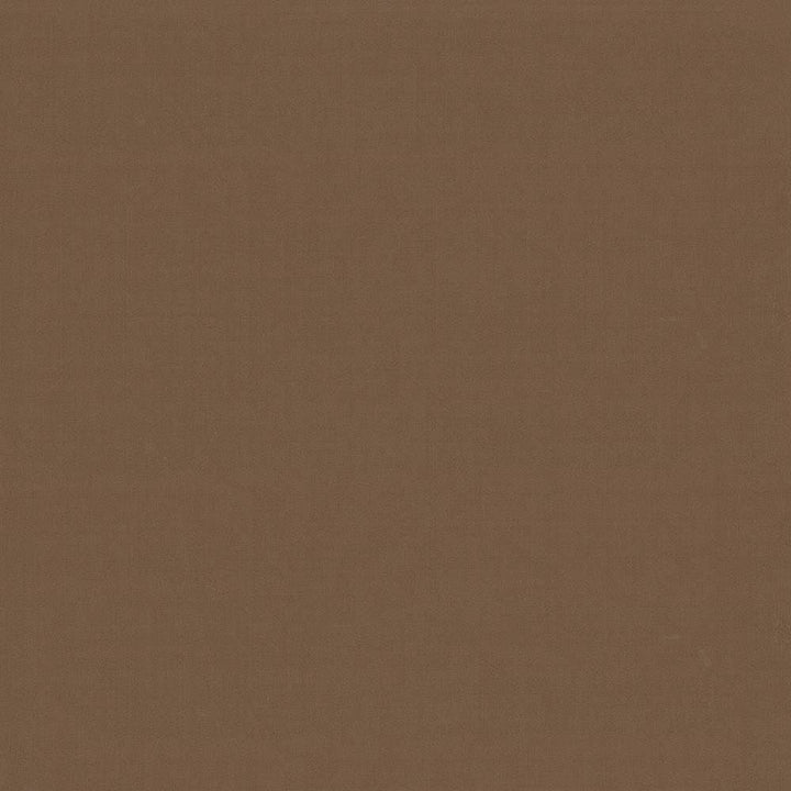 Seductive Latte by Kasmir Fabric 5052 100% Polyester
 INDIA 6,000 Wyzenbeek Double Rubs </p><p>Repeat: Horizontal: N/A and Vertical: N/A 53 - Fabric Carolina -