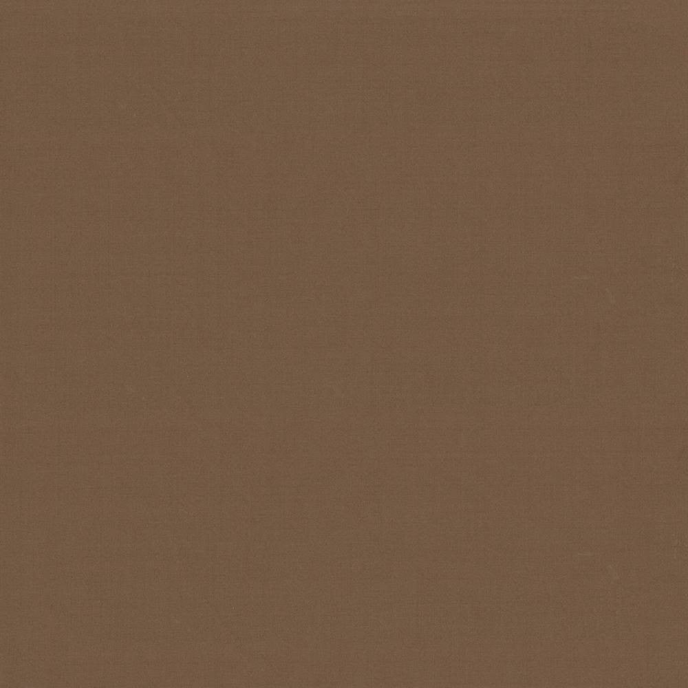 Seductive Latte by Kasmir Fabric 5052 INDIA 6,000 Wyzenbeek Double Rubs H: N/A, V:N/A 53 - Fabric Carolina - Kasmir