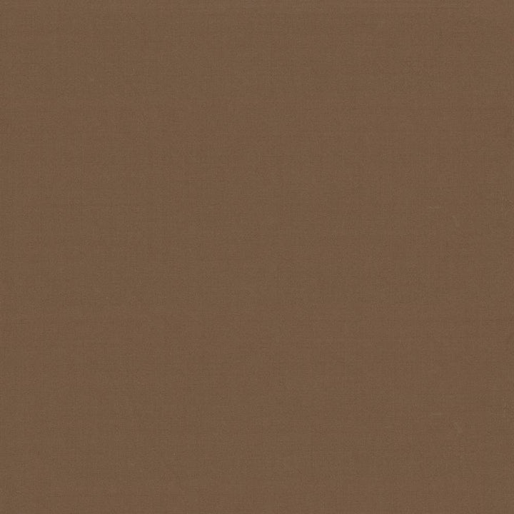 Seductive Latte by Kasmir Fabric 5052 INDIA 6,000 Wyzenbeek Double Rubs H: N/A, V:N/A 53 - Fabric Carolina - Kasmir