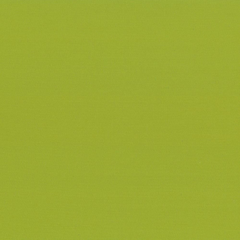 Seductive Lime by Kasmir Fabric 5052 100% Polyester
 INDIA </p><p>Repeat: Horizontal: N/A and Vertical: N/A 53 - Fabric Carolina -