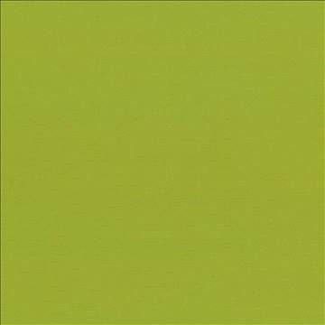Seductive Lime by Kasmir Fabric 5052 100% Polyester INDIA 6,000 Wyzenbeek Double Rubs H: N/A, V: N/A 53 - Fabric Carolina - Kasmir
